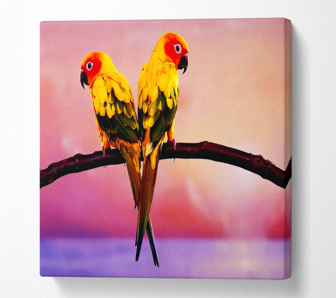  A Canvas Print of Twin Parrots Canvas Art