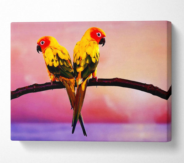  A Canvas Print of Twin Parrots Canvas Art