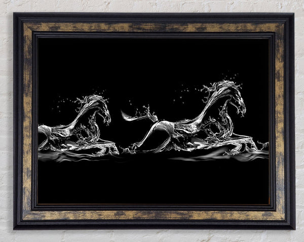 Water Horses Framed Print