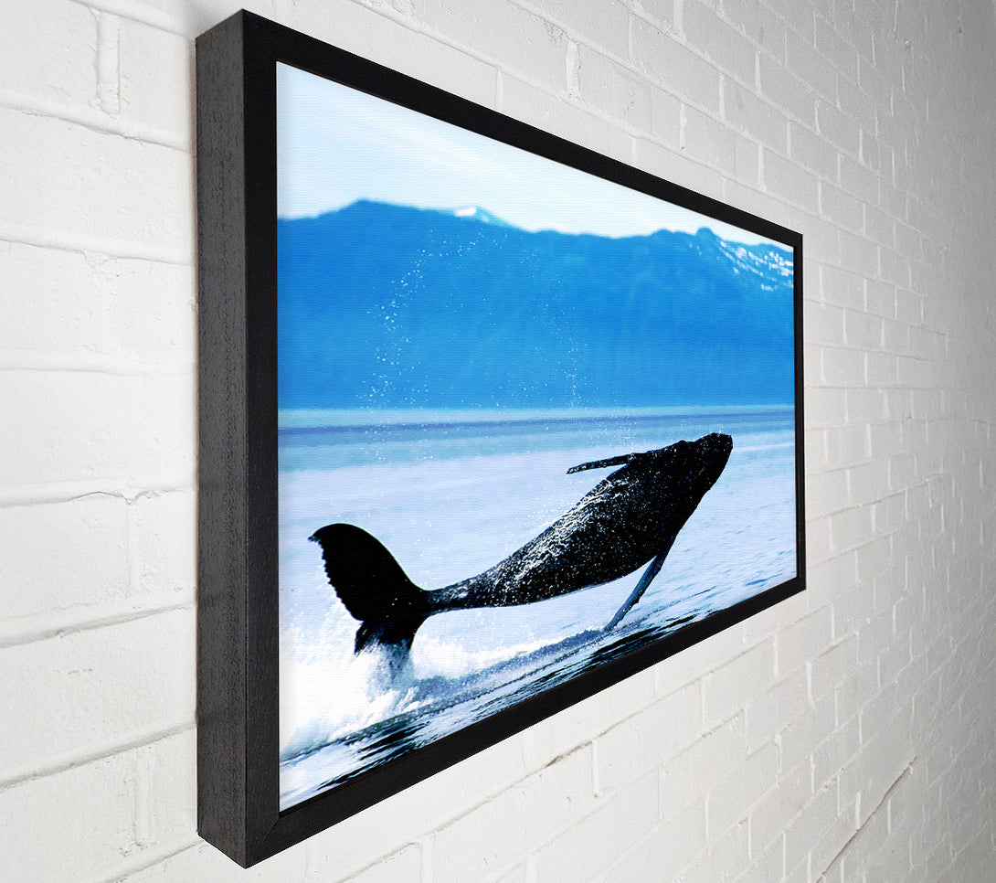  A Canvas Print of Whale Of A Time Canvas Print