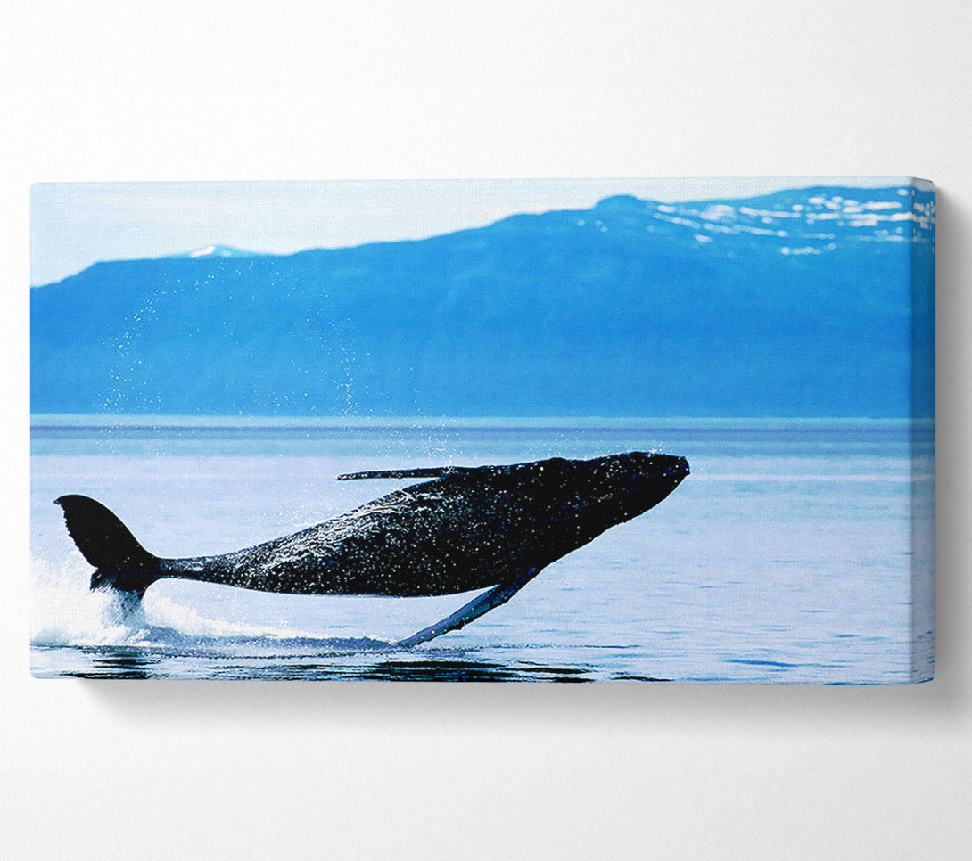  A Canvas Print of Whale Of A Time Canvas Print