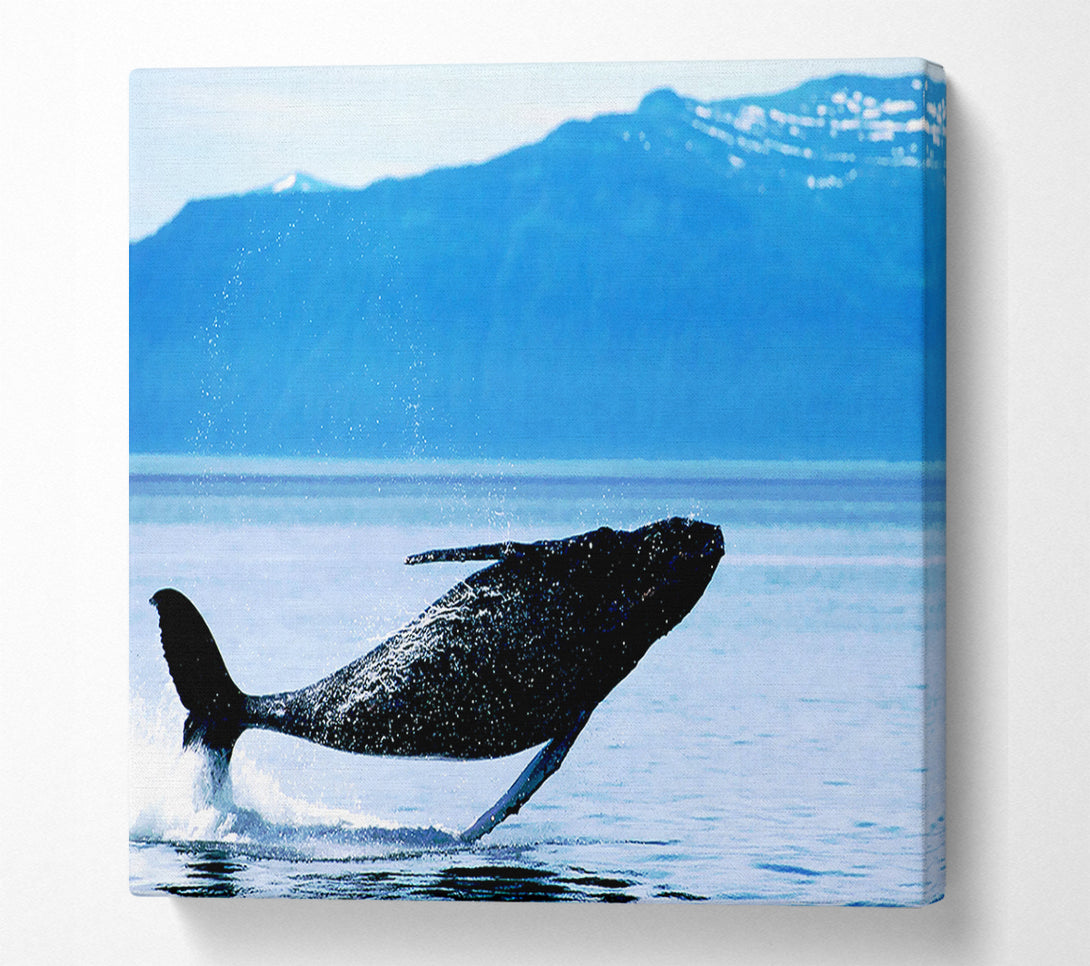  A Canvas Print of Whale Of A Time Canvas Print