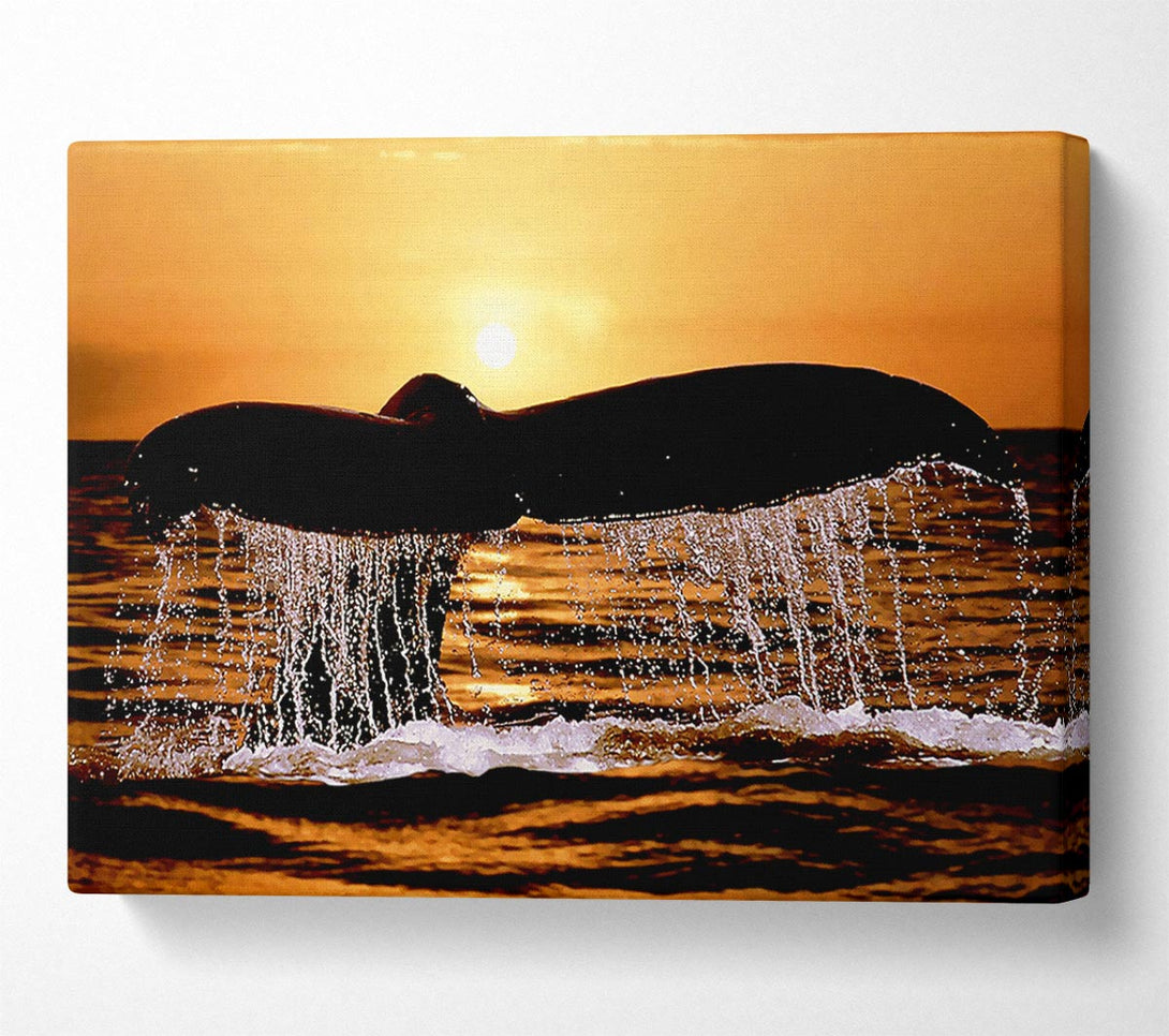  A Canvas Print of Whale Tale Canvas Art