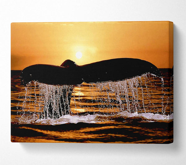  A Canvas Print of Whale Tale Canvas Art