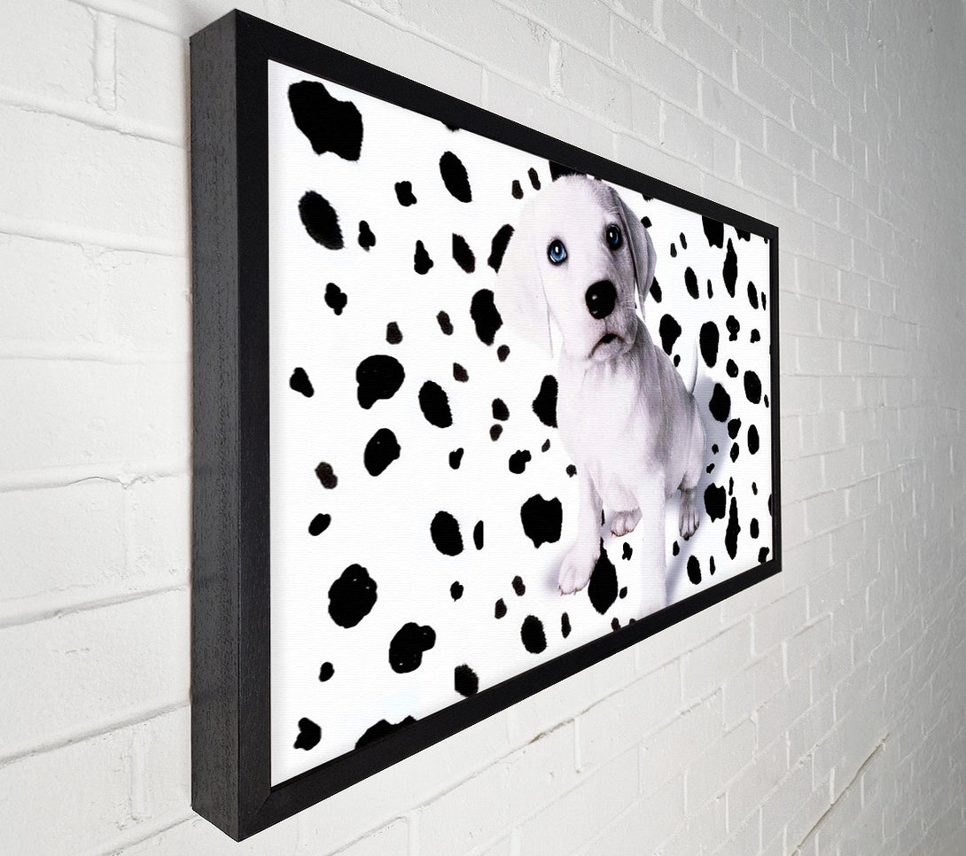  A Canvas Print of Wheres My Spots Dalmatian Canvas Print