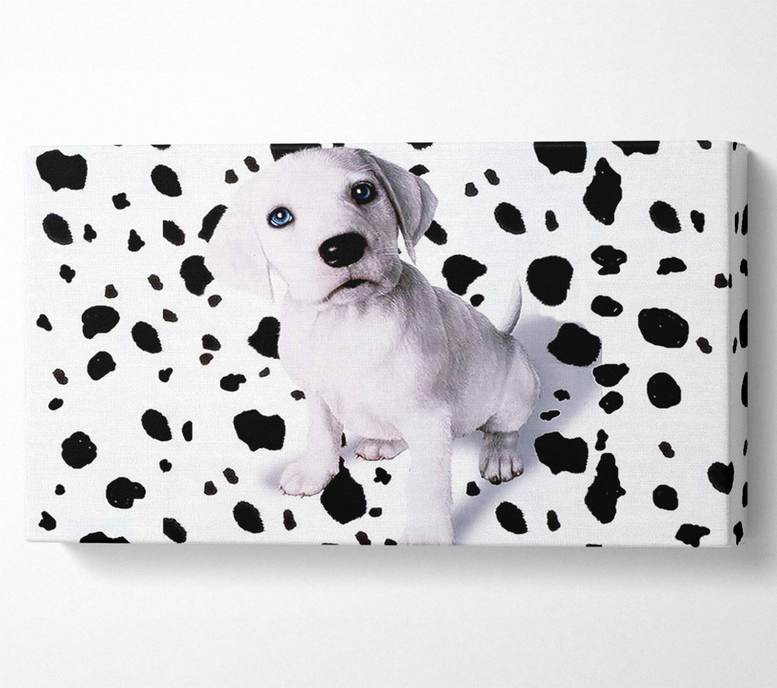  A Canvas Print of Wheres My Spots Dalmatian Canvas Print