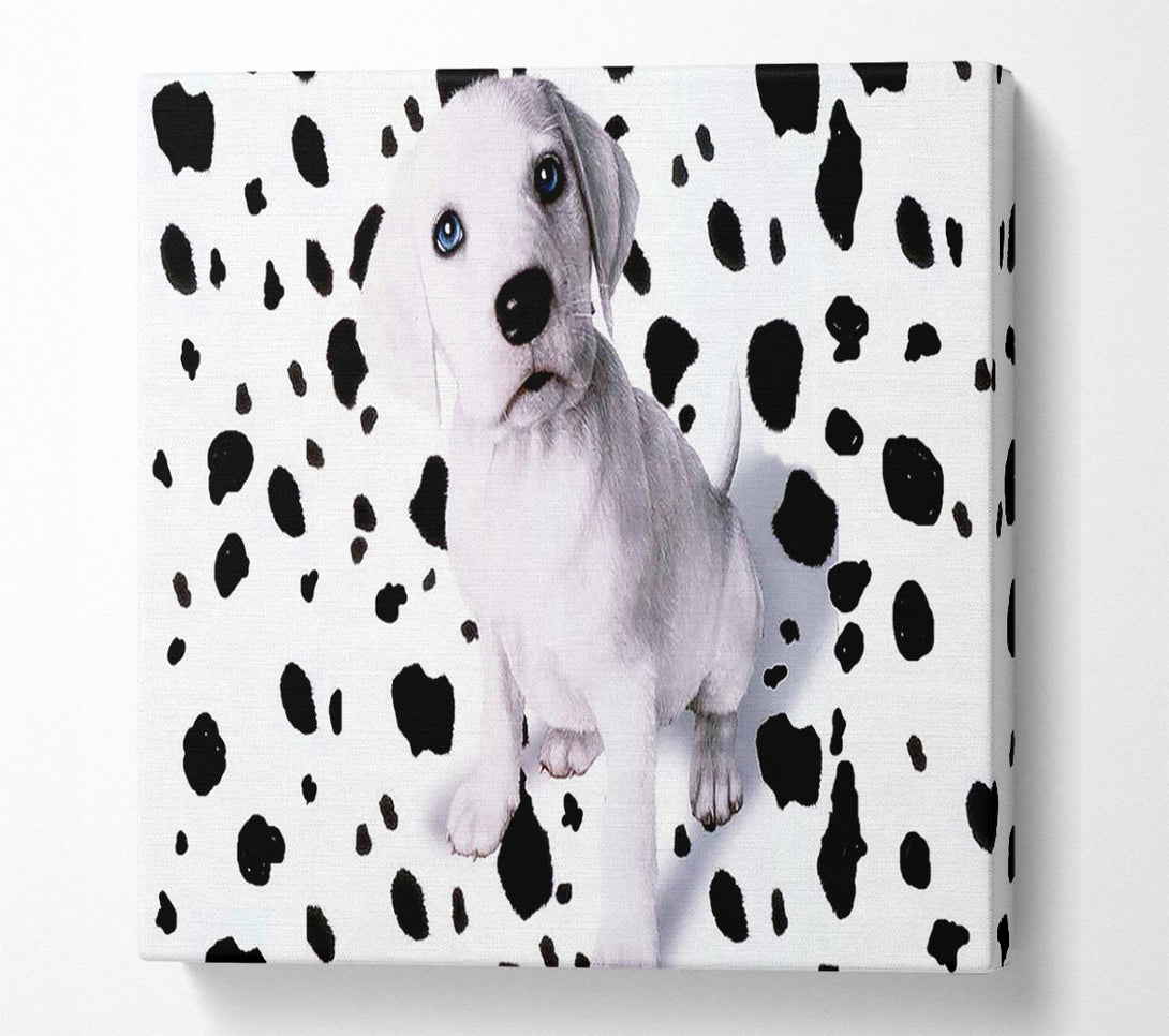  A Canvas Print of Wheres My Spots Dalmatian Canvas Print