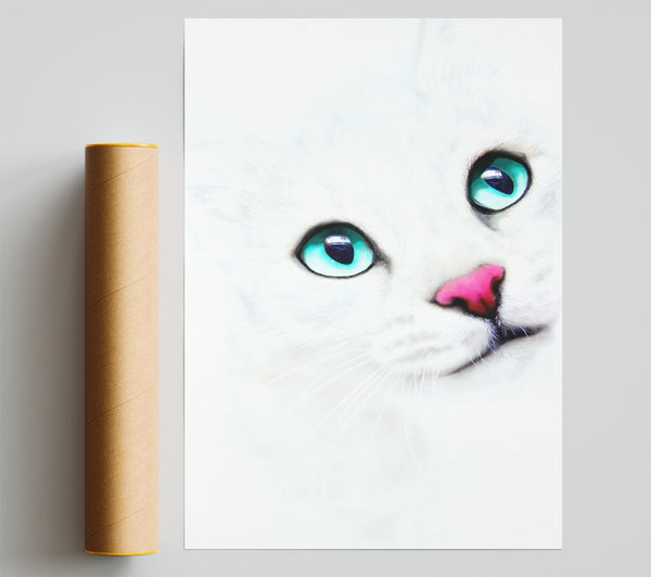 White Cat Blue Eyes Poster