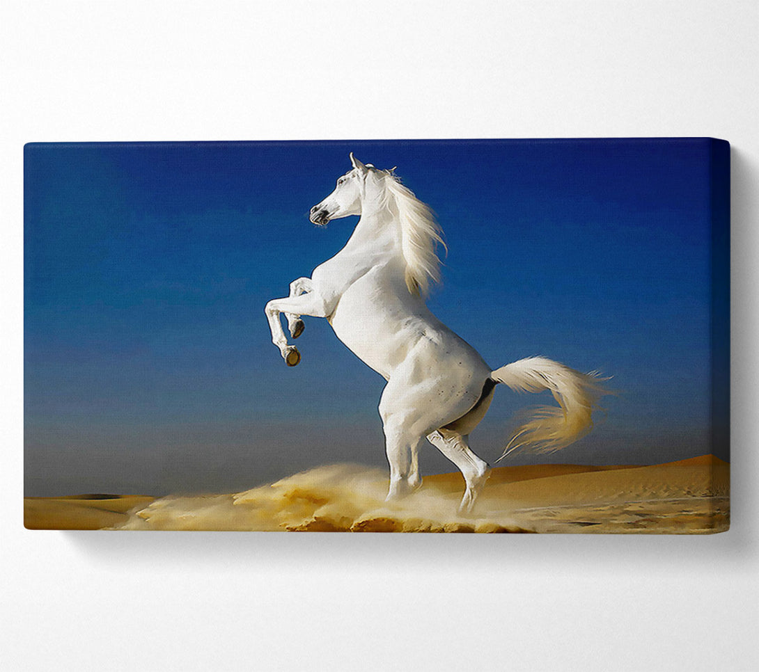  A Canvas Print of White Horse Stance Canvas Art