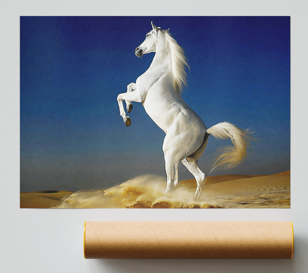 White Horse Stance Print