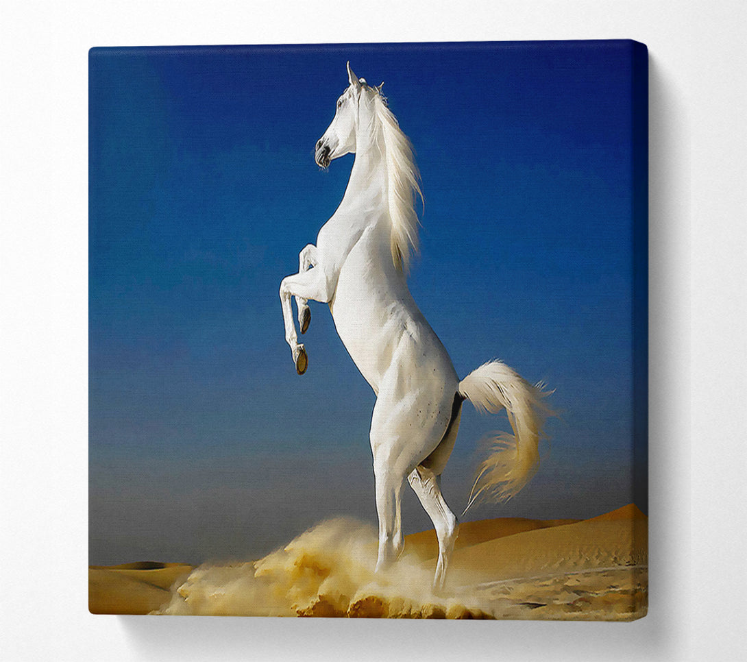 A Canvas Print of White Horse Stance Canvas Art