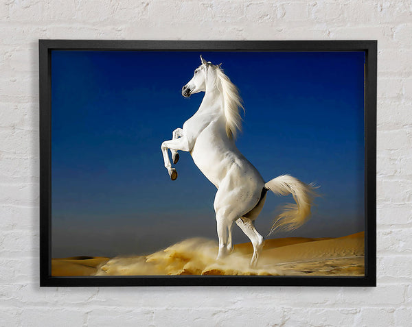 White Horse Stance Framed Print