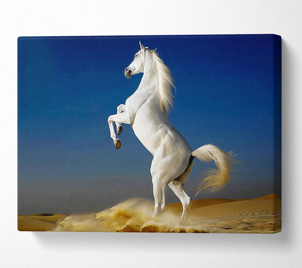  A Canvas Print of White Horse Stance Canvas Art