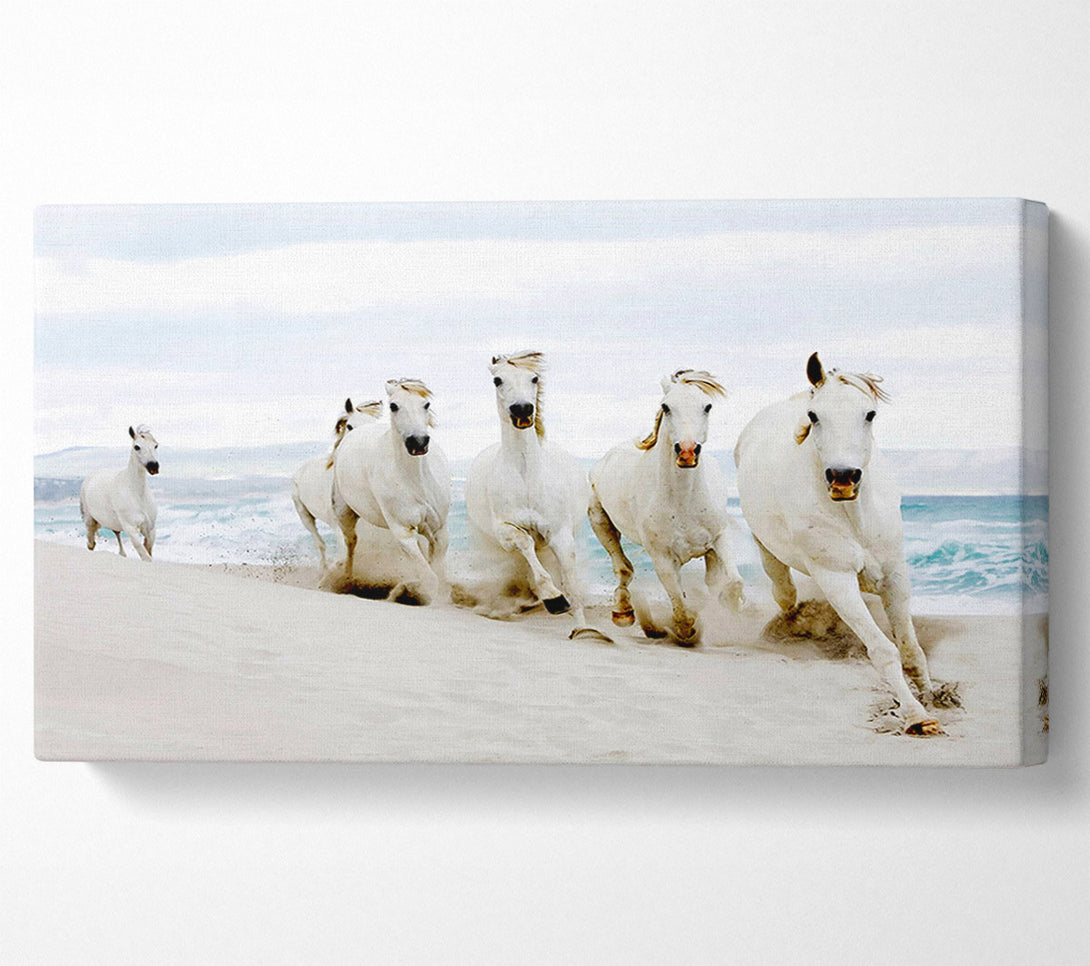  A Canvas Print of White Ocean Horses Canvas Print