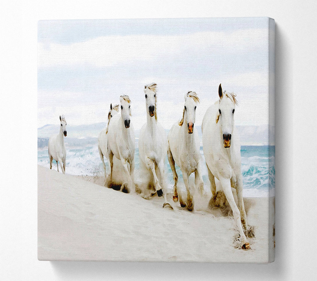 A Canvas Print of White Ocean Horses Canvas Print