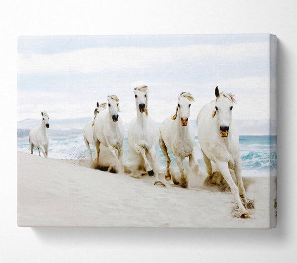  A Canvas Print of White Ocean Horses Canvas Print