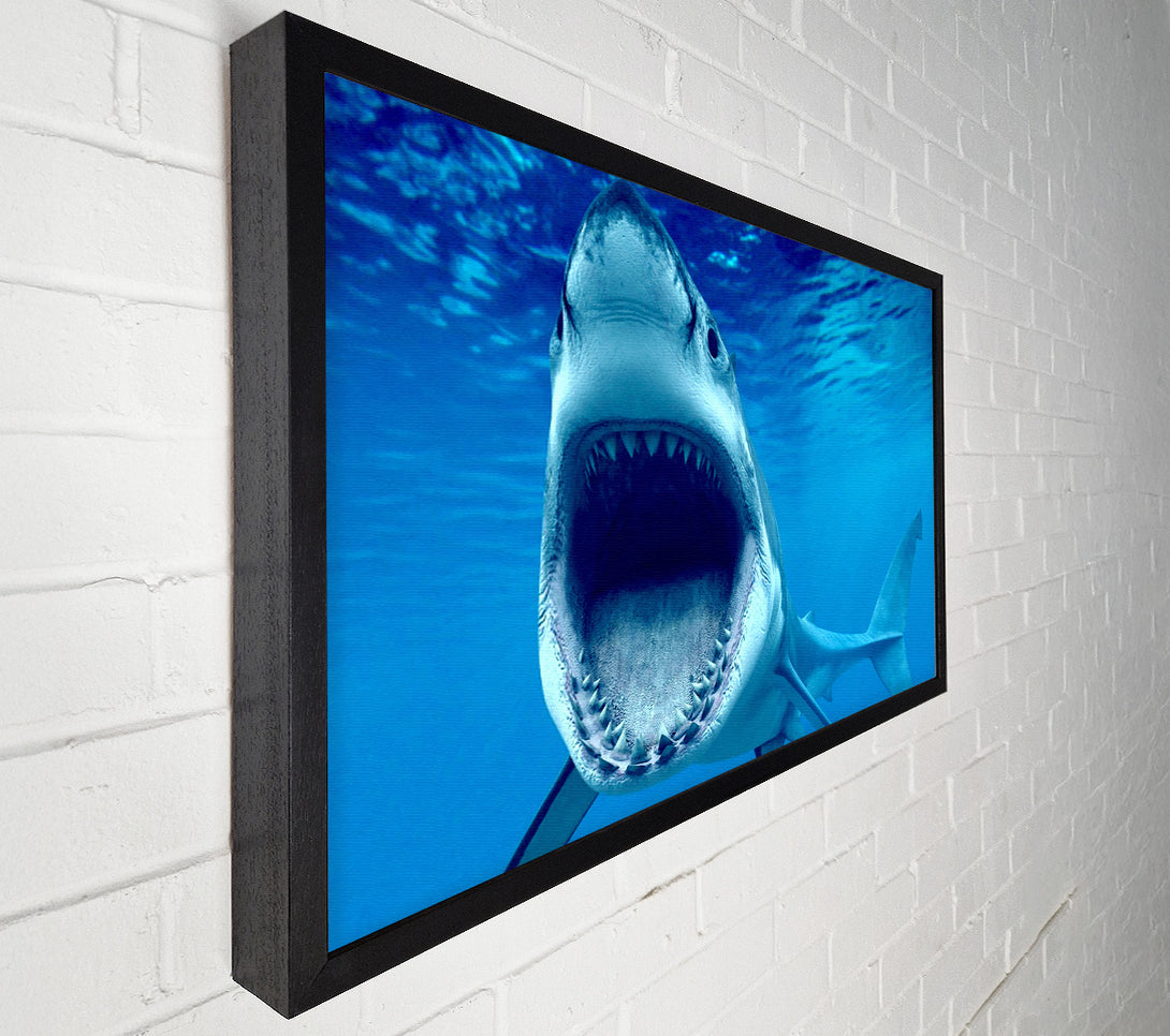  A Canvas Print of White Shark Teeth Canvas Art