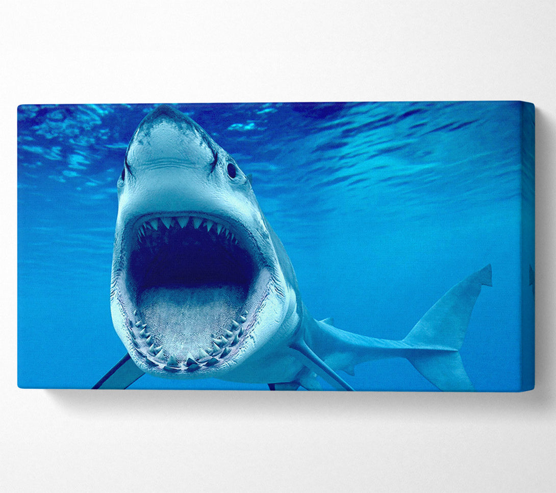 A Canvas Print of White Shark Teeth Canvas Art