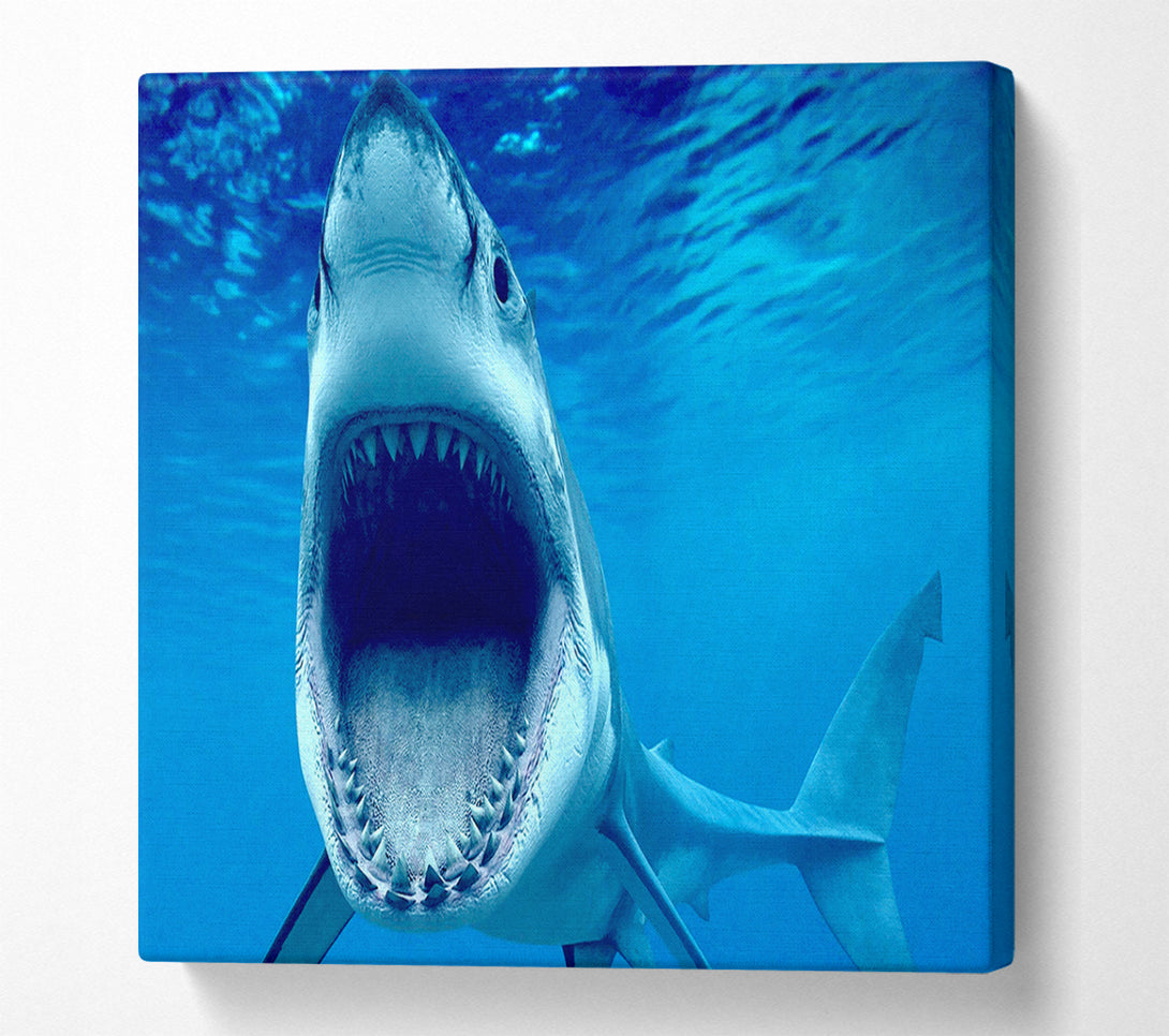  A Canvas Print of White Shark Teeth Canvas Art