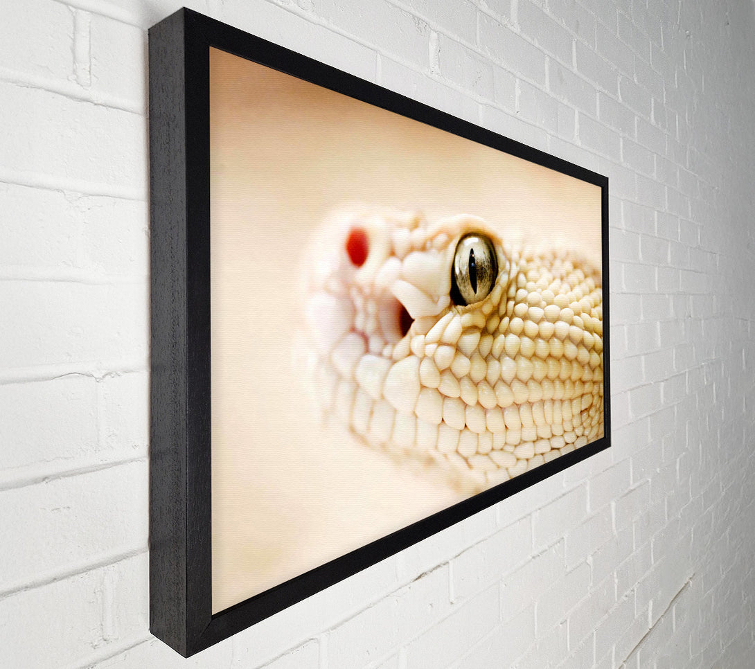  A Canvas Print of White Snake Canvas Art