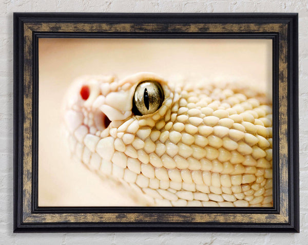 White Snake Framed Print