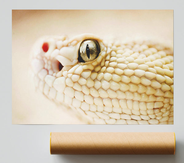 White Snake Poster