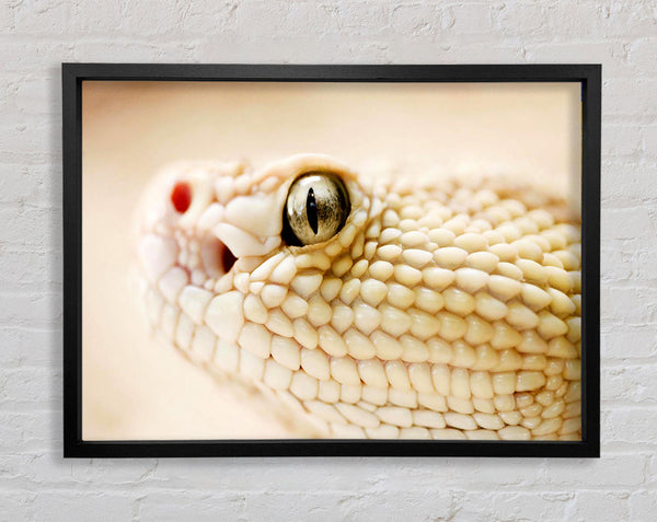 White Snake Framed Print