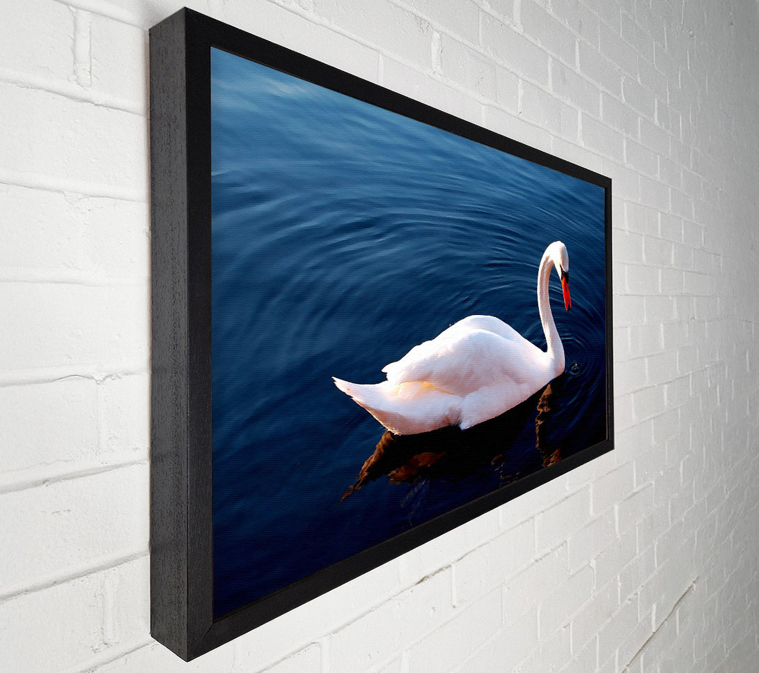  A Canvas Print of White Swan In Water Canvas Wall Art