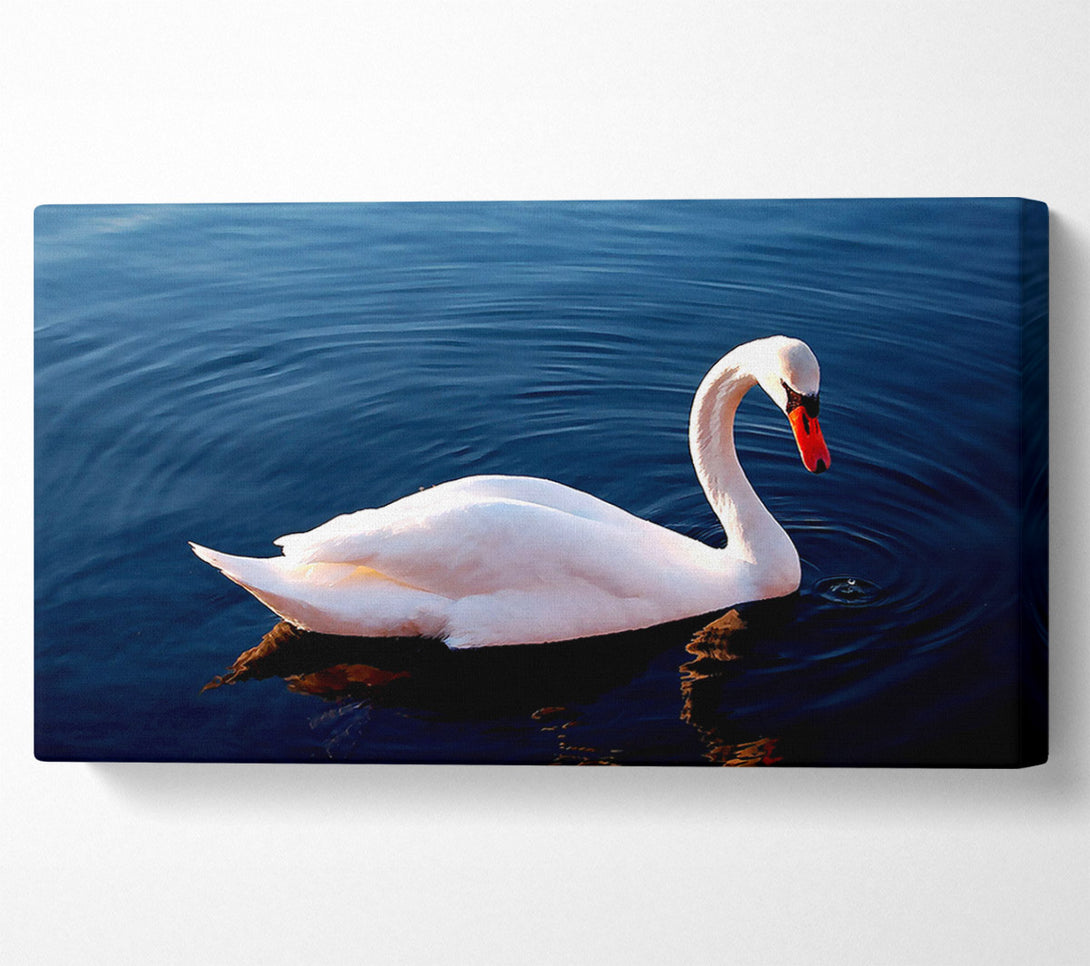  A Canvas Print of White Swan In Water Canvas Wall Art