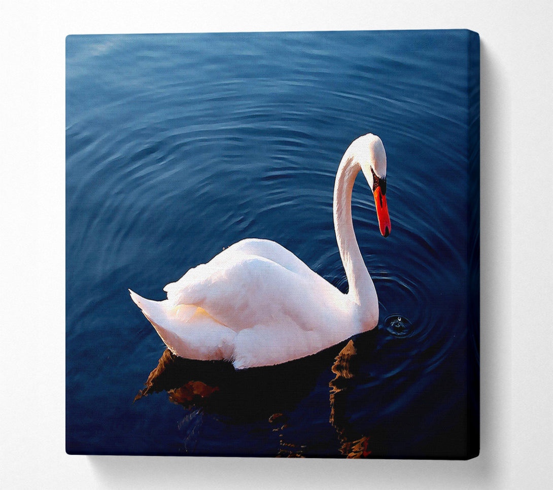  A Canvas Print of White Swan In Water Canvas Wall Art