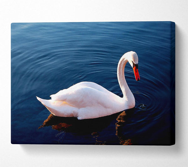  A Canvas Print of White Swan In Water Canvas Wall Art