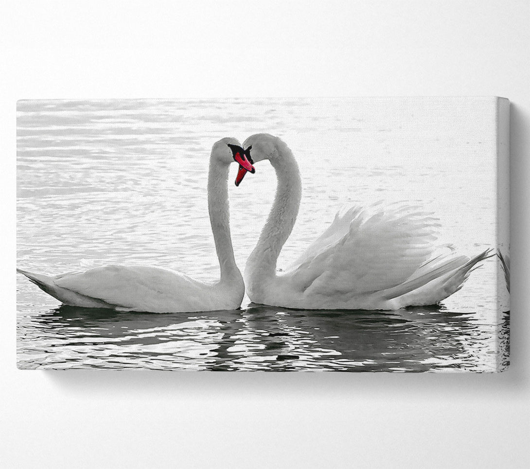  A Canvas Print of White Swans 2 Canvas Art