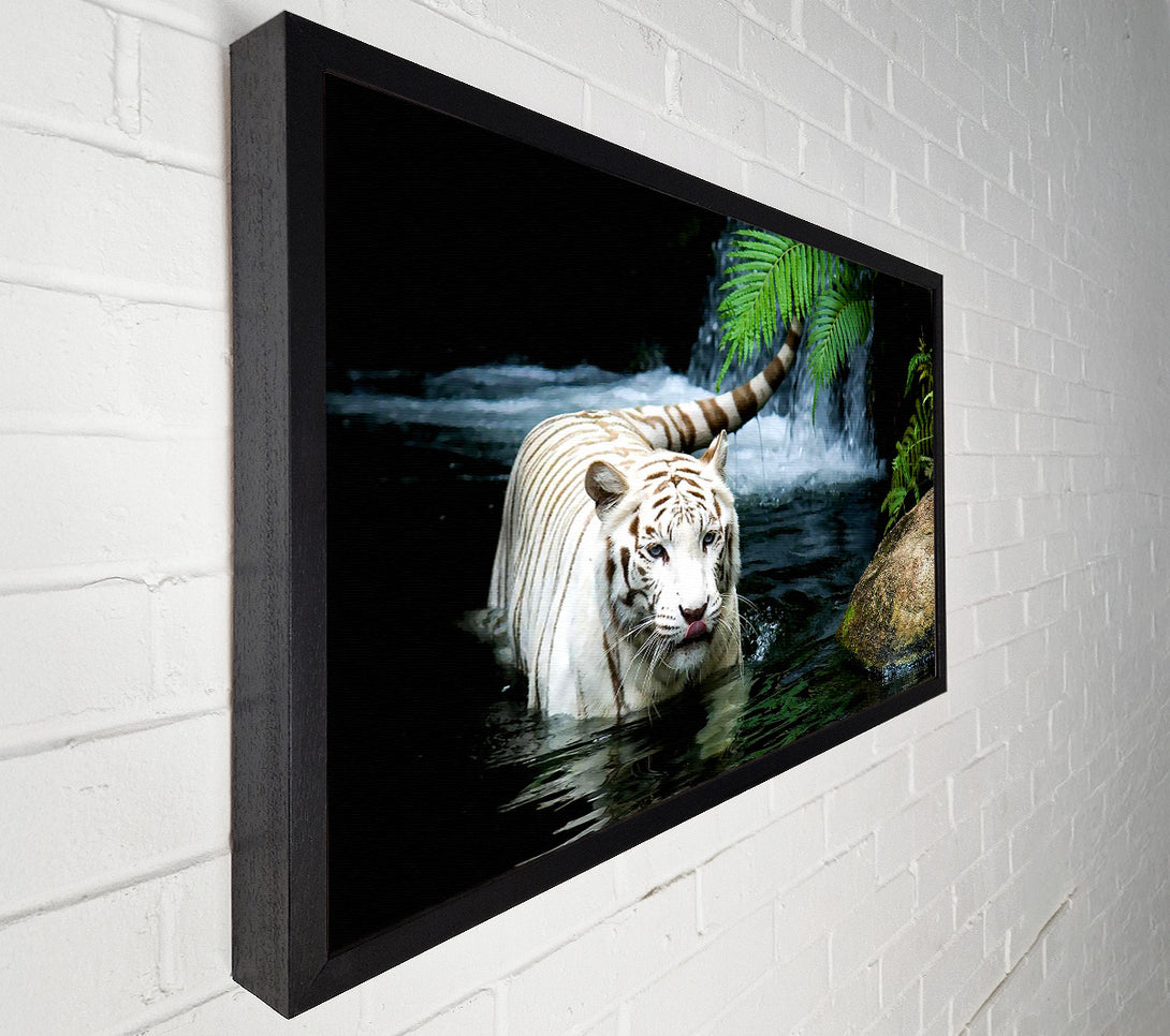  A Canvas Print of White Tiger Beautiful Canvas Wall Art