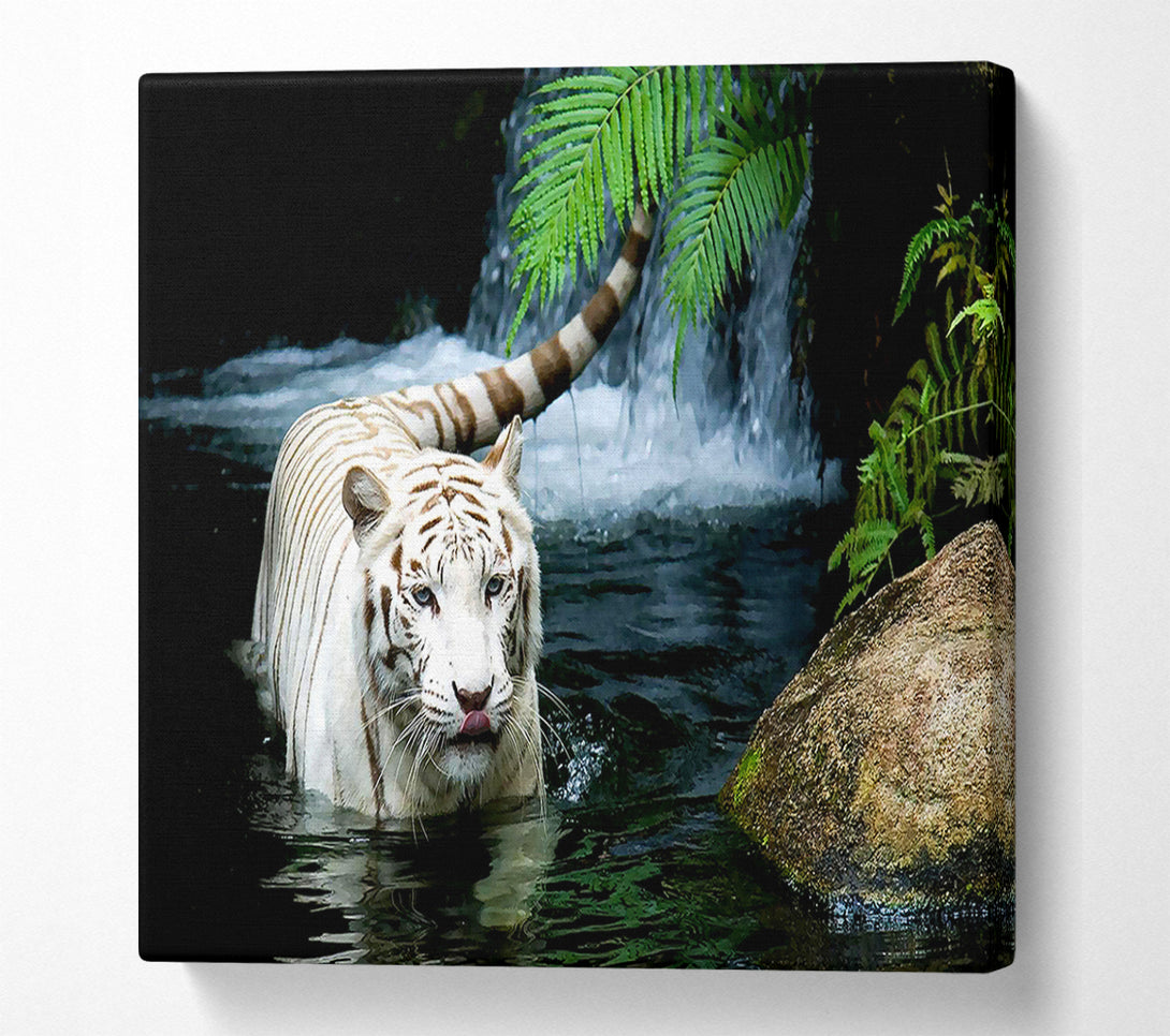  A Canvas Print of White Tiger Beautiful Canvas Wall Art