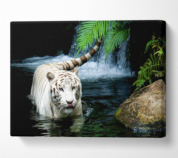  A Canvas Print of White Tiger Beautiful Canvas Wall Art
