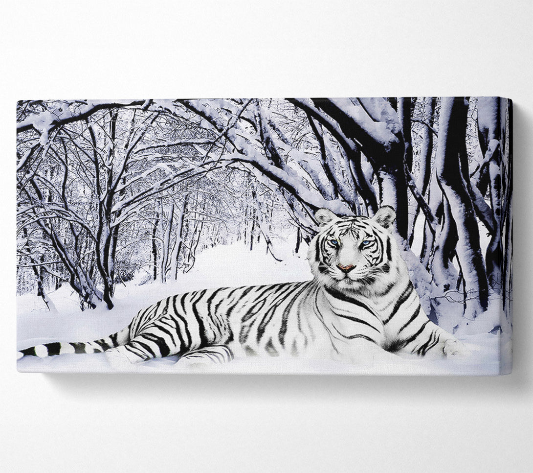  A Canvas Print of White Tiger In The Snow Canvas Print