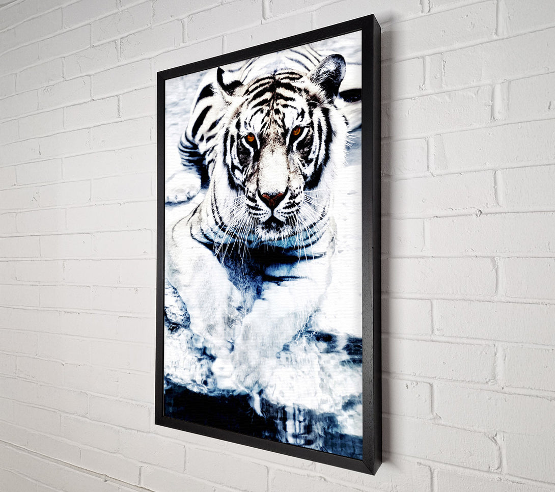  A Canvas Print of White Tiger Stare Canvas Print