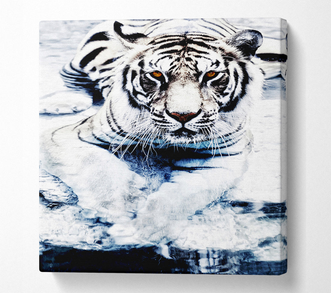  A Canvas Print of White Tiger Stare Canvas Print
