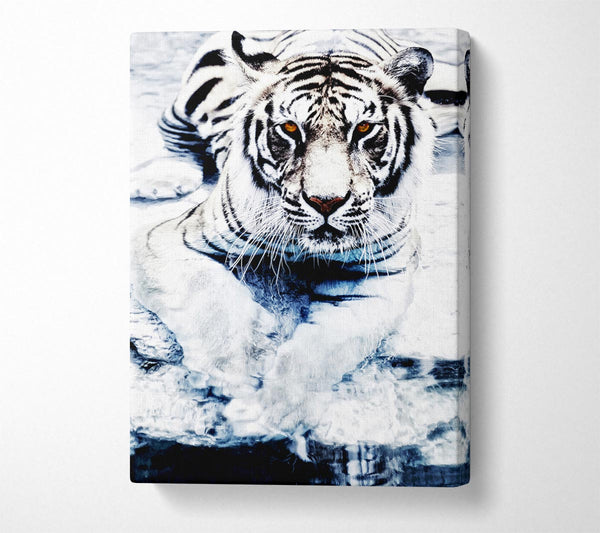  A Canvas Print of White Tiger Stare Canvas Print