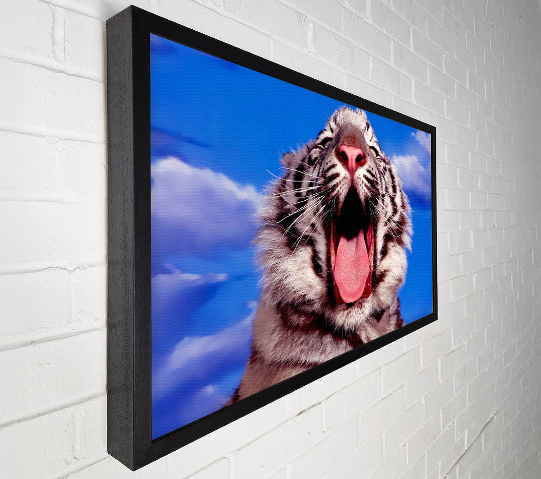  A Canvas Print of White Tiger Yawn Canvas Art