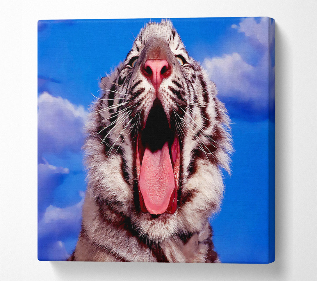  A Canvas Print of White Tiger Yawn Canvas Art
