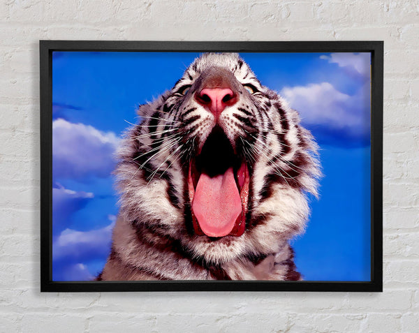White Tiger Yawn Framed Print