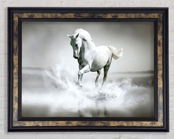 White Water Horse Framed Print