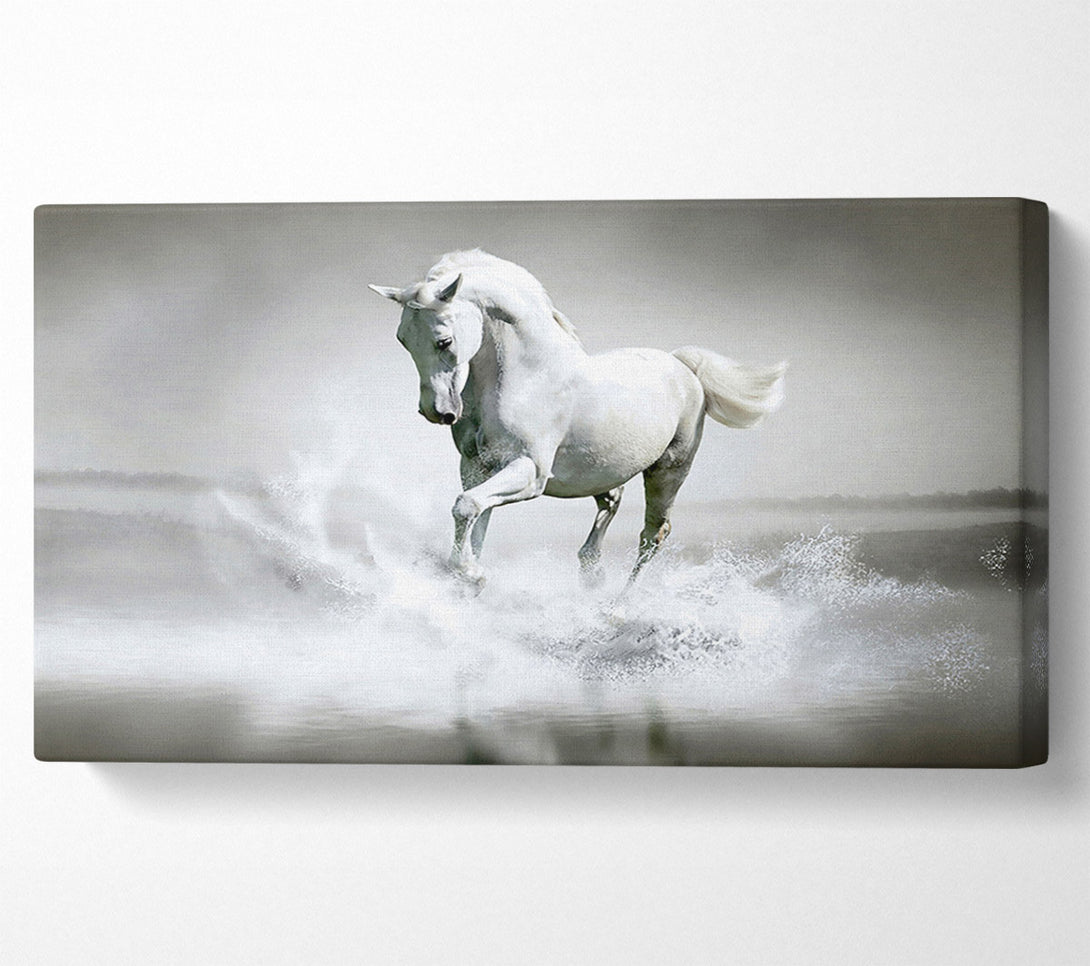  A Canvas Print of White Water Horse Canvas Art