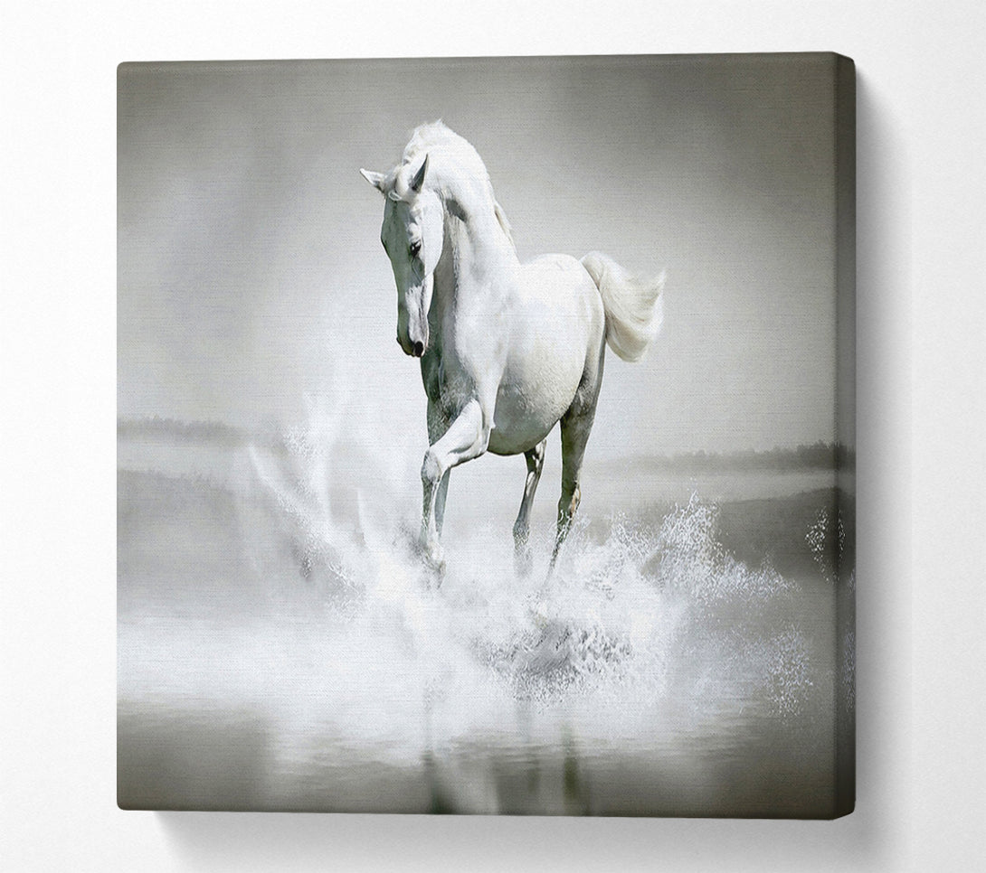  A Canvas Print of White Water Horse Canvas Art