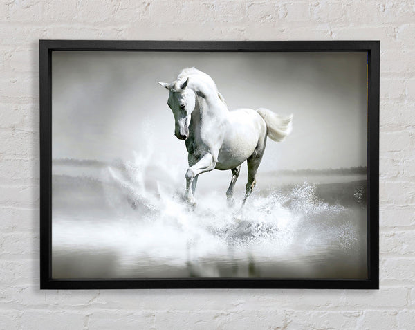 White Water Horse Framed Print