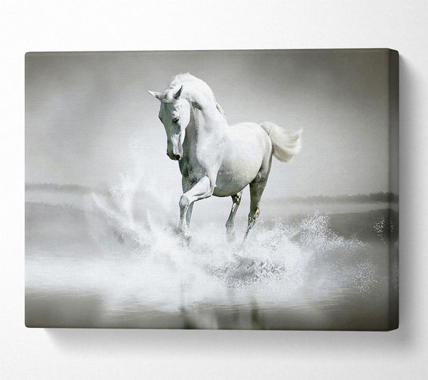  A Canvas Print of White Water Horse Canvas Art