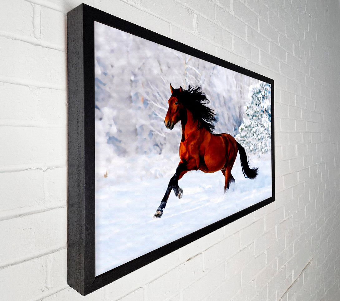  A Canvas Print of Wild Horse In The Snow Canvas Print