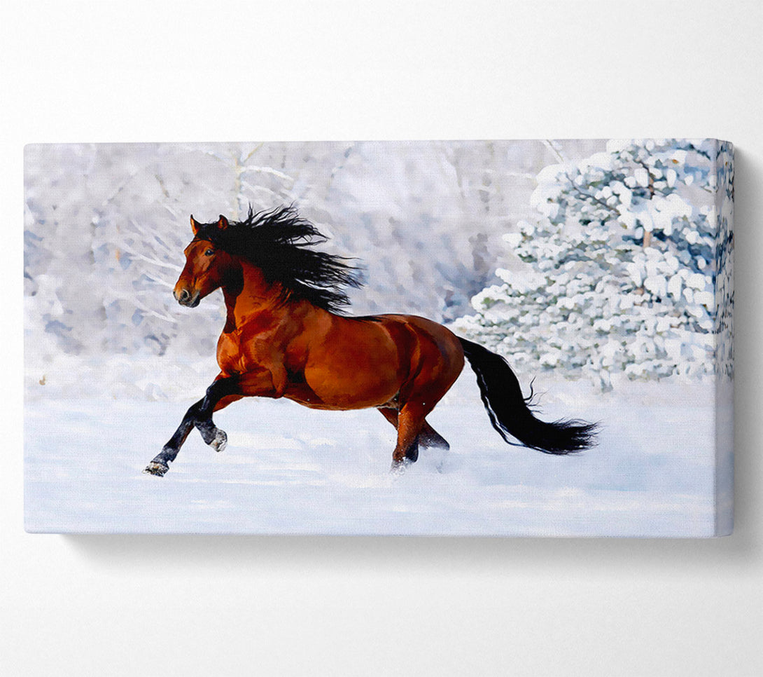  A Canvas Print of Wild Horse In The Snow Canvas Print