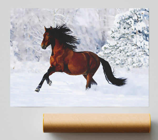 Wild Horse In The Snow Giclee Print